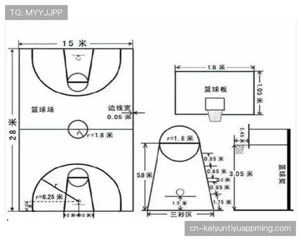 合理冲撞区规则解析及其判罚标准是什么？